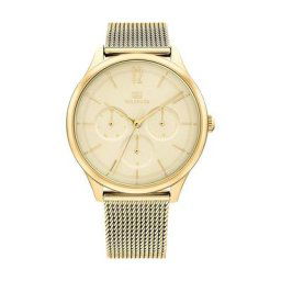 Montre Tommy Hilfiger Doré