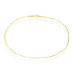 Chaîne De Cheville Maille Jaseron Or Jaune