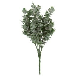 Branche d'eucalyptus, 40 cm