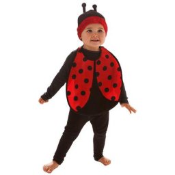 Kit d'accessoires ""mini-coccinelle