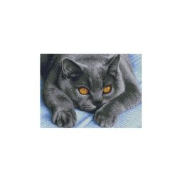 Kit broderie diamant ""chat gris"", 40 x 30 cm