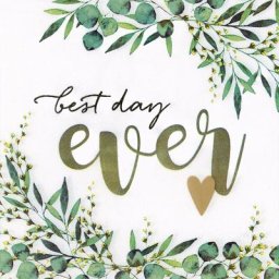 Serviettes en papier « Best day ever »