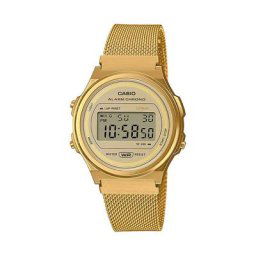 Montre Casio Collection Gris