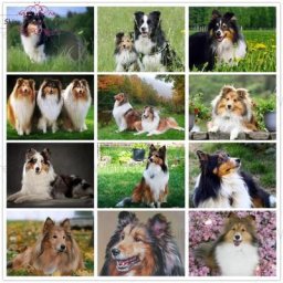 Kit de point de croix de peinture de diamant 5D broderie de biscuits chien Border Collie animal
