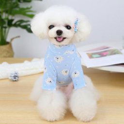 Vêtements d'hiver pour animaux de compagnie pull doux pour chiot chemise décontractée pour la