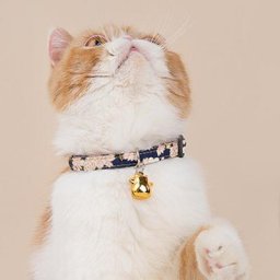 Colliers pour animaux domestiques cloche de chat imprimée de style japonais ajustable et avec un