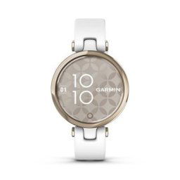 Montre Connectée Garmin Lily