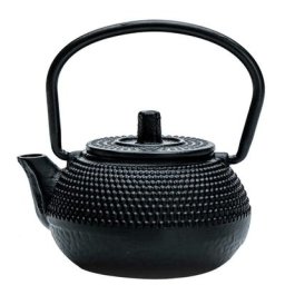 Théière à thé bouilloire en fer pot en fonte infuseur à eau mini métal japonais petites
