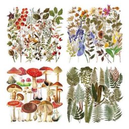 Autocollants transparents en forme de fleurs et de plantes pour Scrapbooking pour bricolage en