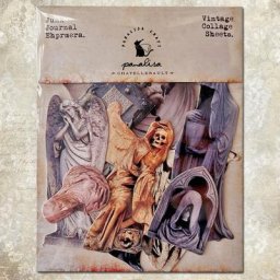 Panalisacraft-Kit de collection de découpes de papier optique vintage carte de licence de