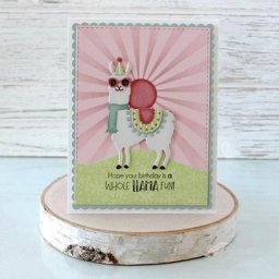 Matrices de découpe en métal et scrapbooking pour papier cadre de gaufrage d'alpaga mignon