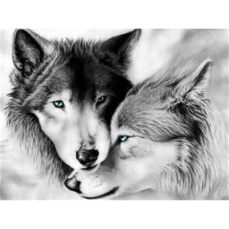 Kit de broderie bricolage Animal Snow Wolf point de croix artisanat 11CT ensemble de loisirs