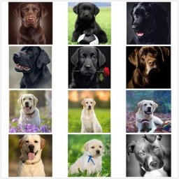 Peinture diamant thème chien labrador et football broderie 5D incrustée d'animaux carrés ou ronds