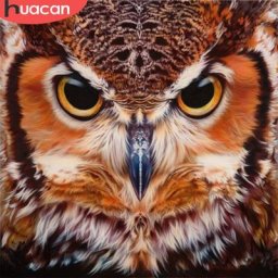 HUACAN – peinture diamant hibou broderie complète points de croix motifs d'animaux strass