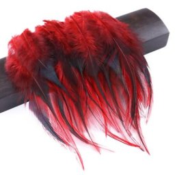 Plume de poulet naturelle pour robe de mariée Plumes de carnaval accessoires de décoration