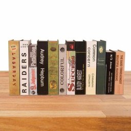 Faux livres à la mode ornement de Table basse accessoire de photographie décoration moderne