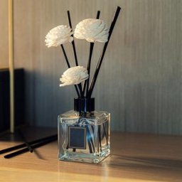 Bâtonnets de Recharge en Rotin pour Diffuseur de sexuellement Sans enquêter Encens Aromatique