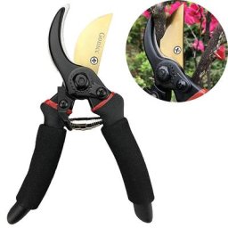 Sécateur outils de jardin Ciseaux en acier à haute teneur en carbone Ciseaux à bonsaï Élagage Jardin
