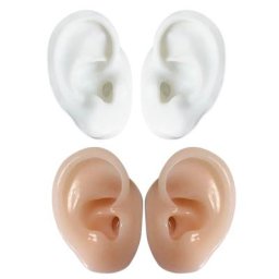 Figurine d'oreille souple étanche 2 pièces pour étudiants en médecine apprentissage oreilles