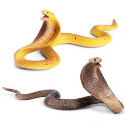 Serpent réaliste scientifique C5AA pour enfants et adultes jouet de astuce Cobra simulé solide