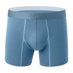 Sous-vêtements Sexy pour hommes boxer short culotte Modal respirant U convexe poche caleçon