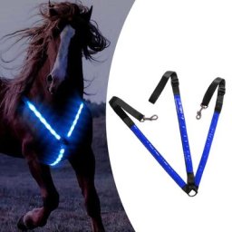 Collier de plastron LED réglable pour cheval équipement de sécurité équestre extérieur poitrine