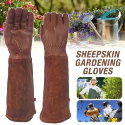 Gants de jardinage S-XL Rose Taille Épine Coupe Vert Buissons Manches longues Cuir Gantelet floral
