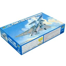 Modèle d'avion assemblé chinois 1/48 Fighter J-10B Raptors