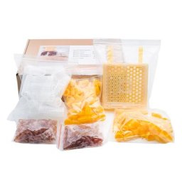 Système d'élevage de reine Nicot pour apiculture kit d'élevage de reine Jenter équation