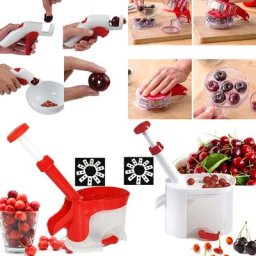 Extracteur de graines de cerise râpe à noyau de Fruit avec récipient accessoires Gadgets outil de