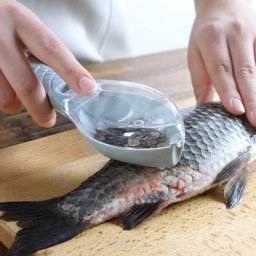 Brosse à écailles de poisson à retrait rapide grattoir à écailles de poisson éplucheur de livres
