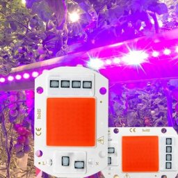 LED grandir lumière spectre complet COB LED puce AC 110V 220V pas besoin pilote Phyto lampe pour