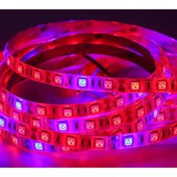 Lampes de culture LED étanches à spectre complet éclairage de serre hydroponique lampe Lauren pour