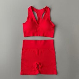 Ensemble de yoga sans couture pour femmes haut court d'entraînement soutien-gorge à col plongeant