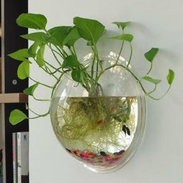 Pot de fleur mural en acrylique transparent plante de poisson décoration précieuse bol de poisson
