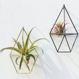 Pot de fleurs rustique pour le jardinage à la maison confrontation de plantes à fraise et à air T1