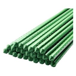 Piquets de plantes de 40cm de long pilier de jardinage tuyau en acier revêtu de plastique pour