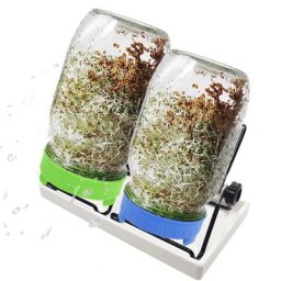 Couvercles de Germination avec écran en acier inoxydable pour bocaux Mason à large bouche Kit de