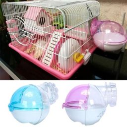 Mini aire de jeux externe transparente pour animaux de compagnie accessoires pour hamster