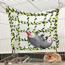 Hamac coloré pour animaux de compagnie filet d'escalade pour hamster hamster SLaura filet pour