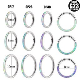 Anneau de piercing en titane G23 boucle d'oreille bijoux de corps Septum articulé antarctique