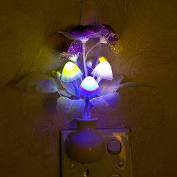 Lampe de Nuit LED CAN ac Colorée avec Capteur de Lumière Intelligent Luminaire Romantique avec