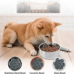 Mangeoire lente en spirale avec ventouse pour animaux de compagnie alimentation lente polymères