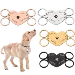 Étiquettes d'Identification Personnalisées pour Chien et Chat Gravure Gratuite avec Nom Plaque