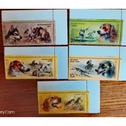 Lot de 5 timbres-poste urss CCCP nouveaux timbres de chasse 1988 chiens MNH