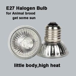Ampoule halogène E27 220V spectre complet pour faire du soleil aux animaux