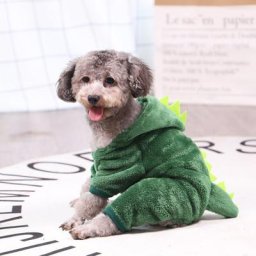 Costume de dinosaure pour animaux de compagnie manteau d'hiver chaud en peluche polaire sweat à