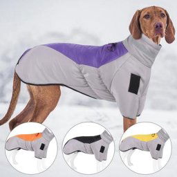 Veste imperméable à col haut pour chien vêtement d'hiver chaud pour grand gabarit bouledogue