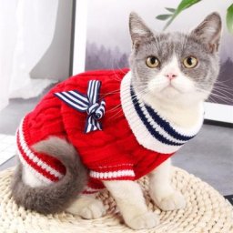 Pull à carreaux pour chiens Style marin noeud papillon manteau pour petits chiens amour pull