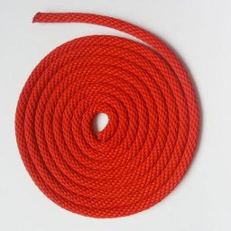 Corde de suivi ronde tressée en nylon entraînement à la marche en plein air couleur rouge bleu
